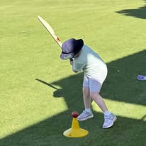 Cricket